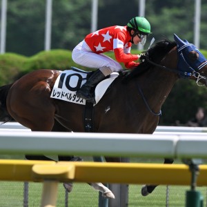 2026/5/3 4歳以上1勝クラス