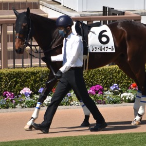 2026/3/21 4歳以上1勝クラス