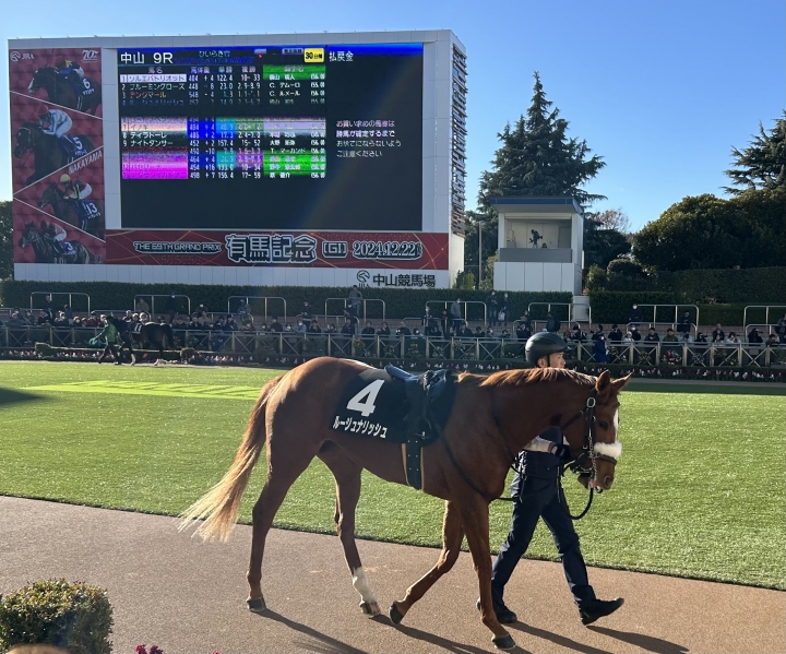 ひいらぎ賞パドック ルージュナリッシュ