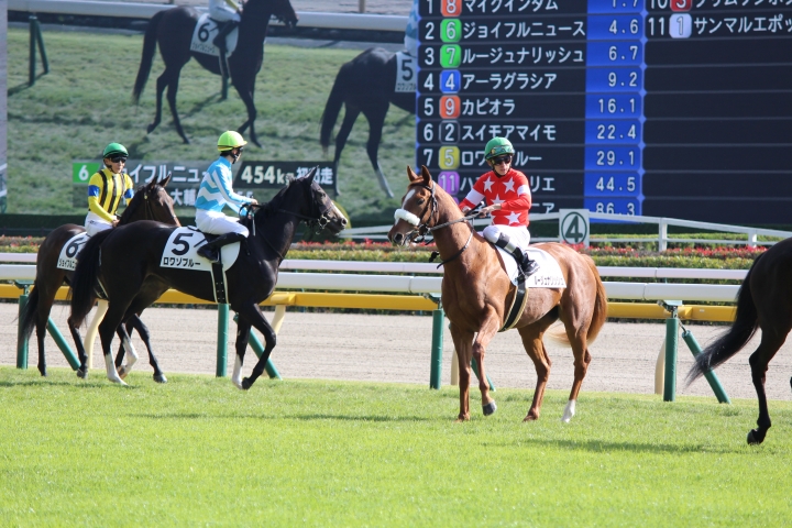 返し馬 ルージュナリッシュ