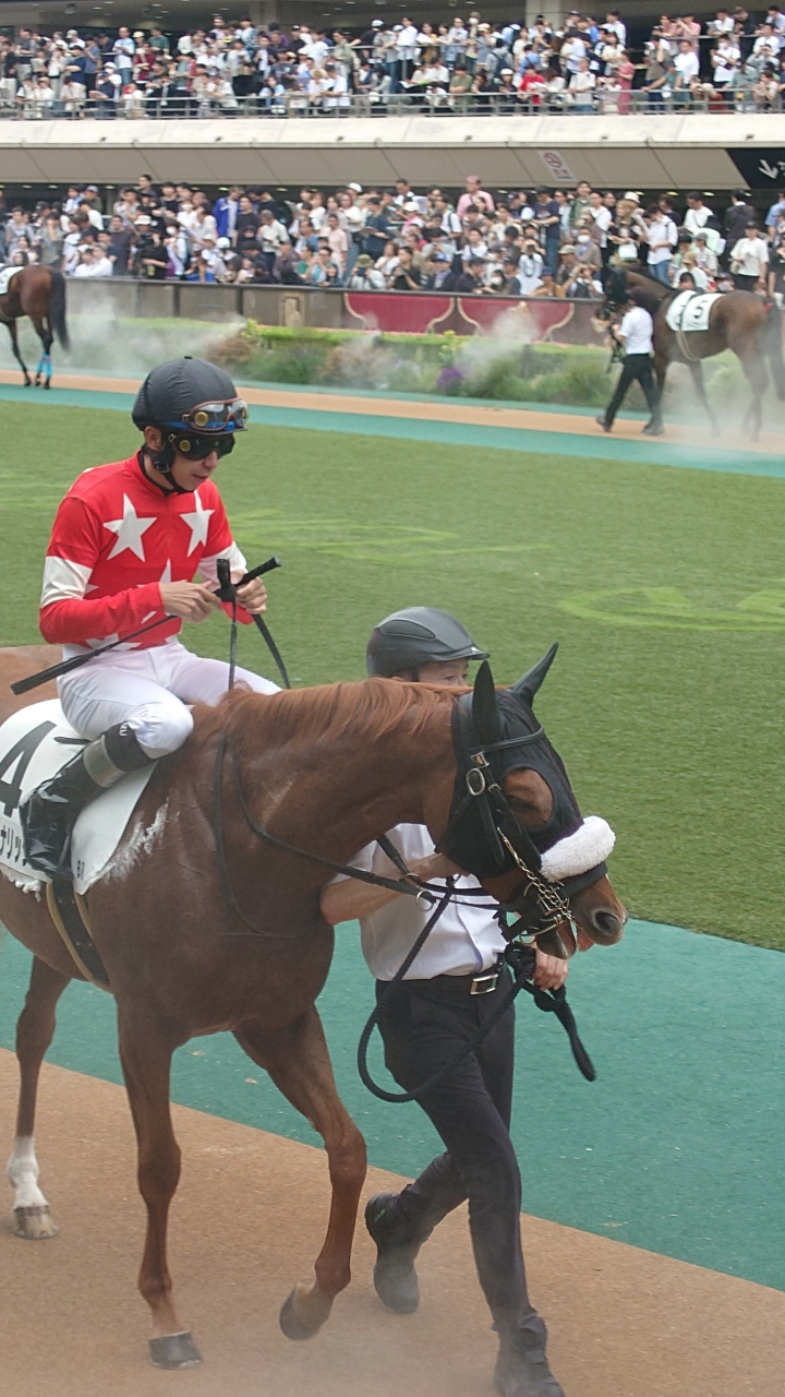 2025/5/18 3歳1勝クラス(牝) ルージュナリッシュ