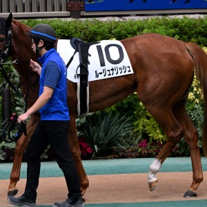 2025/10/12 3歳以上1勝クラス(牝)