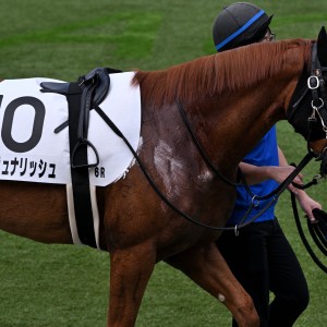 2025/10/12 3歳以上1勝クラス(牝)