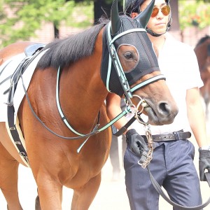 札幌未勝利戦／えなさん