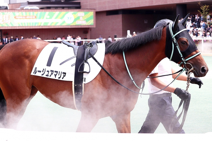 2024/7/20 2歳未勝利／えなさん ルージュアマリア