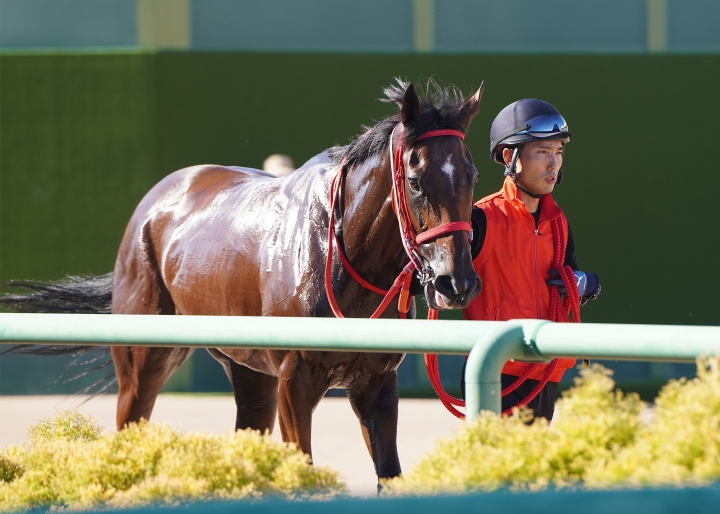 2025/9/7 セプテンバーS(3勝クラス) ルージュラナキラ