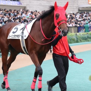 2024/10/26 2歳新馬(牝)