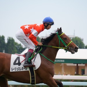 2024年7月 2歳新馬