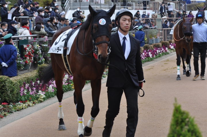 2025年1月 レッドレントラー