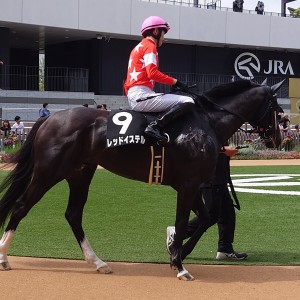 2025/5/17 あずさ賞(1勝クラス)