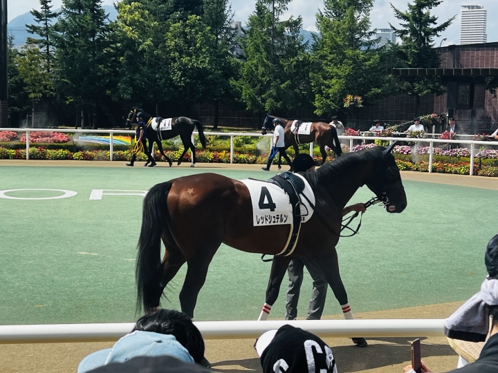 8/25 札幌新馬芝1800m レッドシュテルン