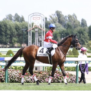 本馬場入場