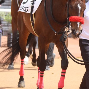 2026/5/2 4歳以上1勝クラス