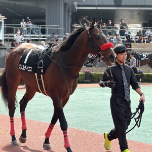 2026/3/28 ロイヤルバンコクス(1勝クラス)