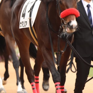 2024/12/21 2歳新馬