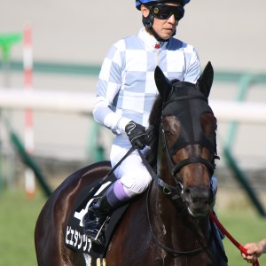 2025/7/27 御在所特別(1勝クラス)