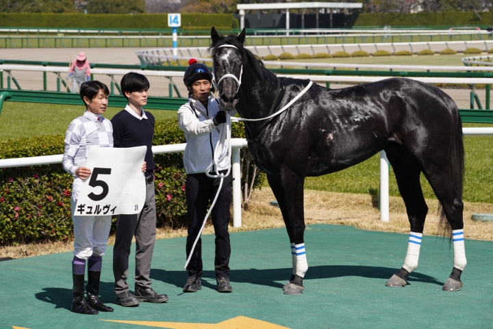 2025/3/22 3歳未勝利 口取り ギュルヴィ