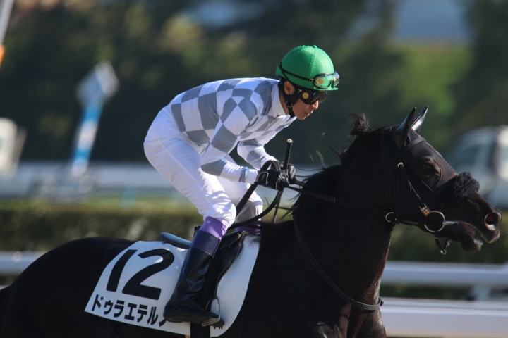 2025年11月 ドゥラエテルノ