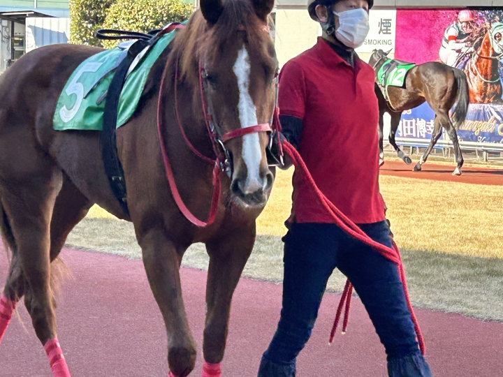 2025年2月 シャルメイビス