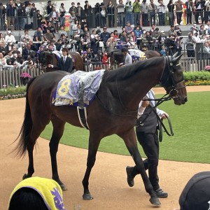 2025/10/26 菊花賞(G1)