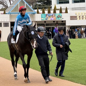 2025/1/12 3歳未勝利