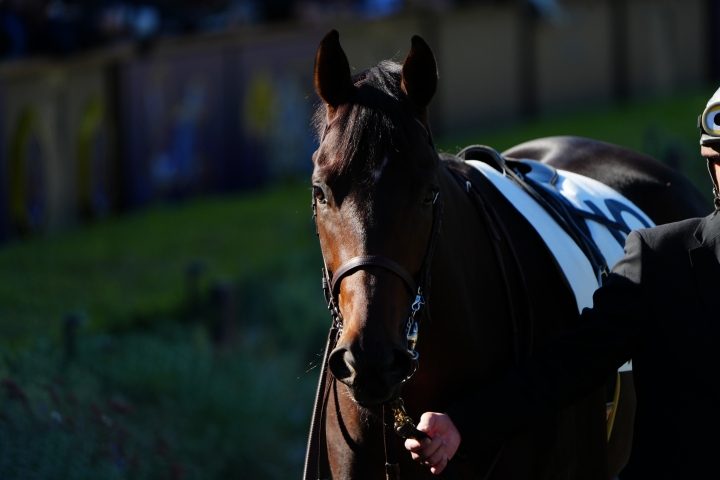 2024/11/24 2歳新馬 アクアリッズ