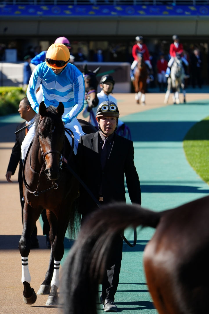 2024/11/24 2歳新馬 アクアリッズ