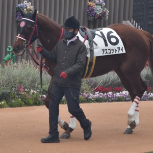 ３戦目パドック