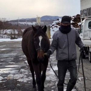 ノルマンディーファーム