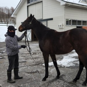 ノルマンディーファーム