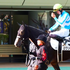 東京２歳新馬	芝1600
