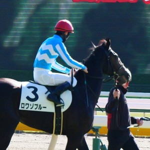2024年11月23日東京2歳未勝利芝1800m
