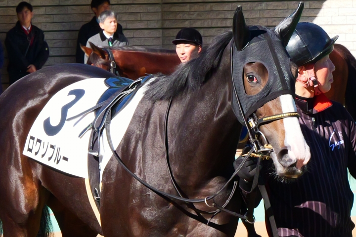 2024年11月23日東京2歳未勝利芝1800m ロワゾブルー