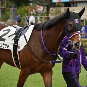 2024/11/16 2歳新馬