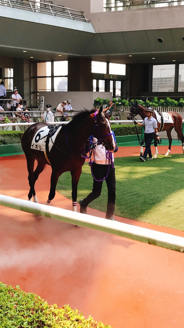 2024年7月 イオリ