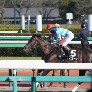 2026/2/28 春風S(3勝クラス)