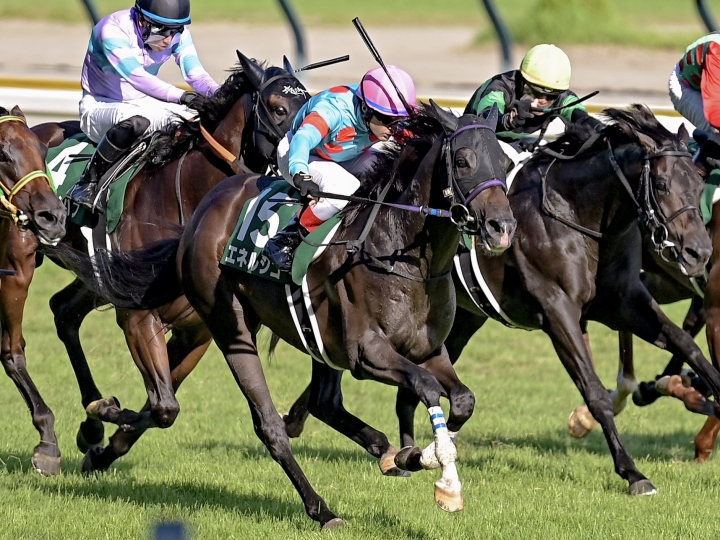 2025/8/31 新潟記念(G3) エネルジコ