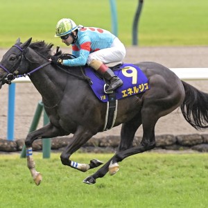 2025/10/26 菊花賞(G1)