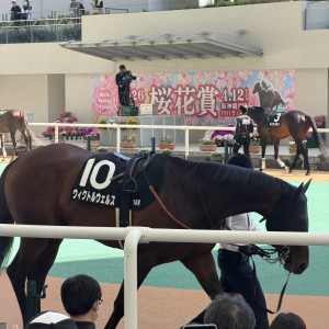 2026/4/11 大阪―ハンブルクカ(OP)