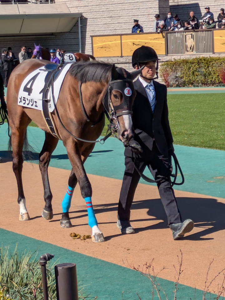 間に合った新馬戦 メランジェ