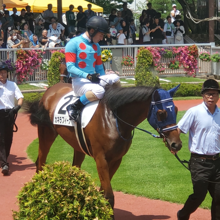 2024/8/3 2歳新馬 カネラフィーナ