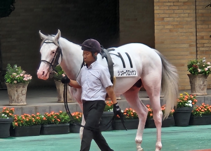 2024/8/24 2歳新馬 シュネーグロッケン