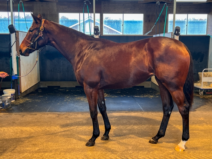 2023年11月 ヴィリアリート