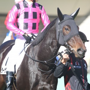 2024/11/9 2歳未勝利(牝)