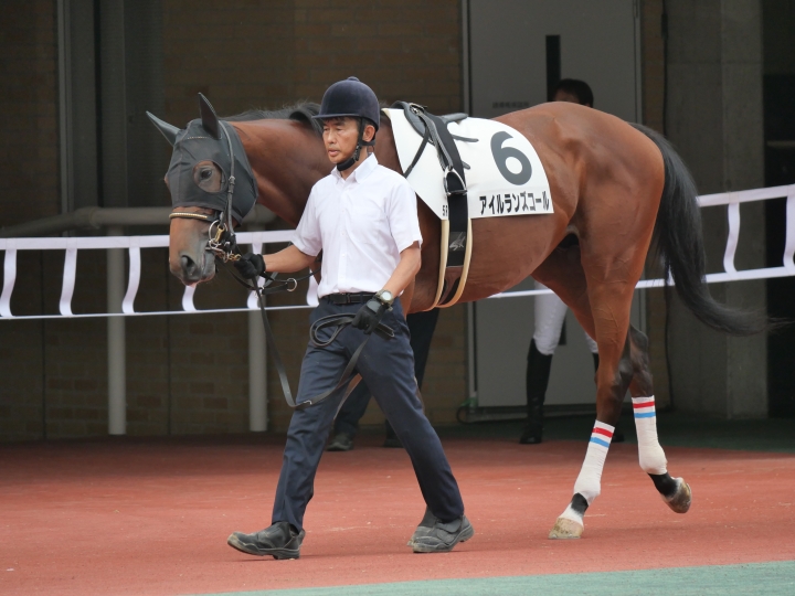 2024年8月 アイルランズコール