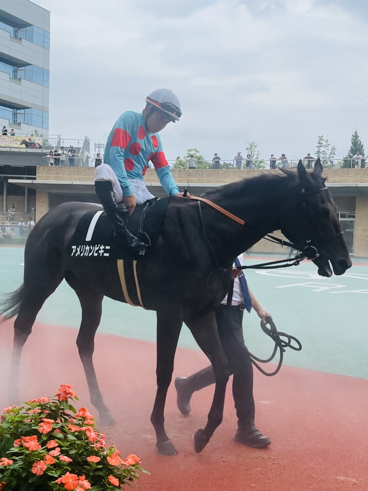 2024年9月 アメリカンビキニ