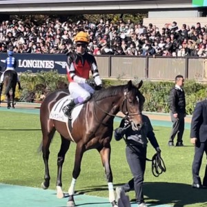 新馬戦