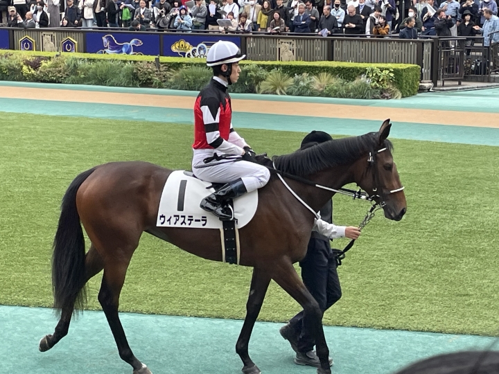 2024年11月 ウィアステーラ