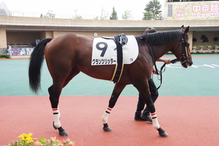 2024/9/29 中京 2歳未勝利 グランツリッター