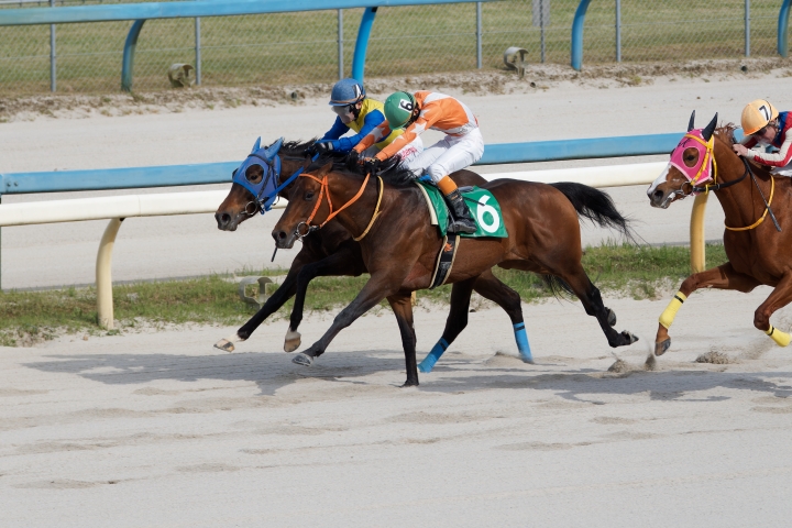 2025/5/5 金沢 3歳 グランツリッター